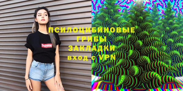 хмурый Новозыбков