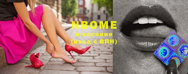 хмурый Новозыбков