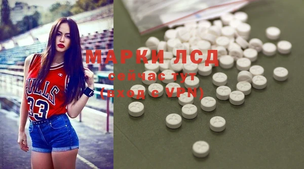хмурый Новозыбков