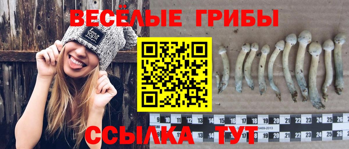КЕТАМИН Карталы
