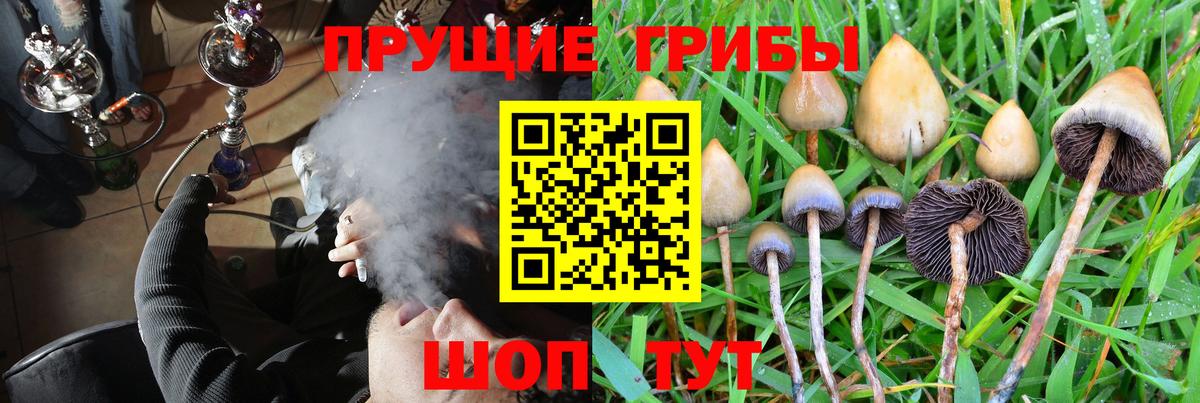 Псилоцибиновые грибы GOLDEN TEACHER Карталы